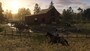 Red Dead Redemption 2 (PS4) - PSN Key - EUROPE - 3