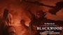 The Elder Scrolls Online Collection: Blackwood | Collector's Edition (PC) - Steam Gift - GLOBAL - 2