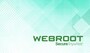Webroot SecureAnywhere AntiVirus 1 Device GLOBAL Key PC 1 Year - 2